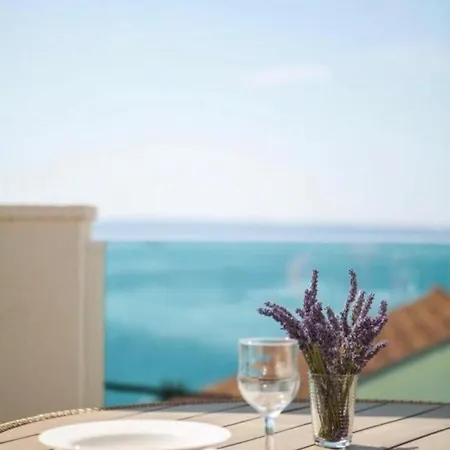 فيلة Arius Front Seget-trogir