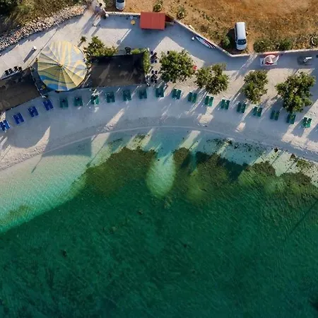 فيلة Arius Front Seget-trogir